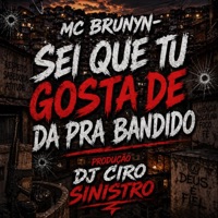 Sei que tu gosta de da pra bandido (feat. MC BRUNYN) - Single - DJ CIRO SINISTRO