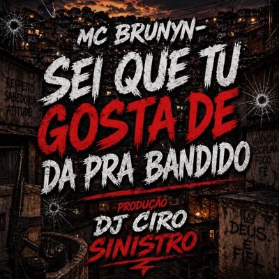 Sei que tu gosta de da pra bandido (feat. MC BRUNYN) - Single