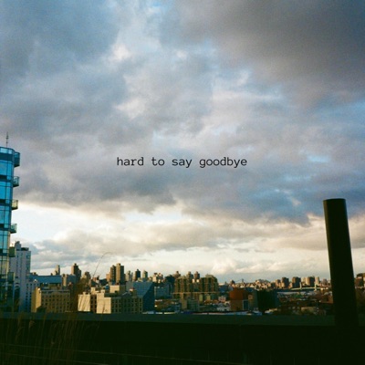 Hard To Say Goodbye - Single