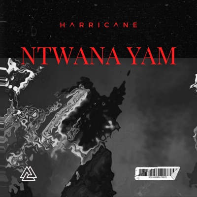 Ntwana Yam - Single