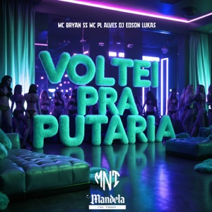 Voltei pra Putaria (Speed Up)