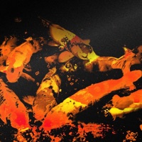 NATURE <3 YOU.wav - Single - Jay88