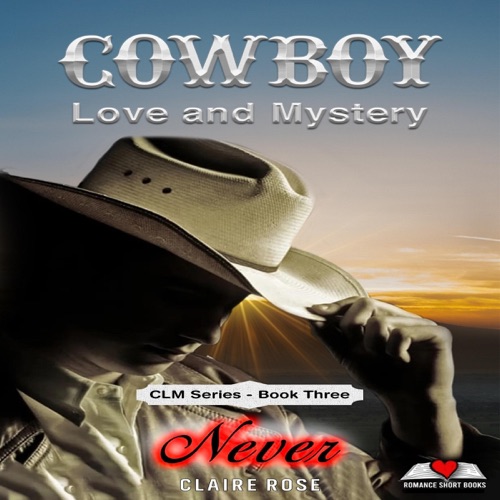 Never: Cowboy Love & Mystery Clean Romance Series, Book 3 (Unabridged) cover