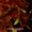 burning the ground - bruciare il terreno