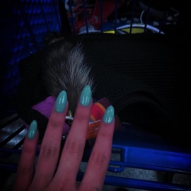 making more now selfloadingimage