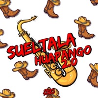 Sueltala Huapango 2.0 - Single - Darek Sotelo