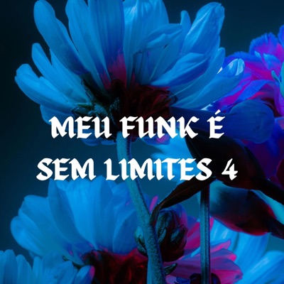 Meu Funk É Sem Limites 4 - Single