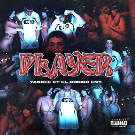 PLAYER (feat. EL CODIGO ENT.) Yankee