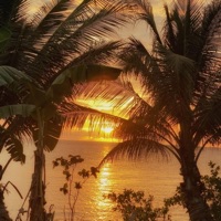 whoareyou? - Single - Xeno914