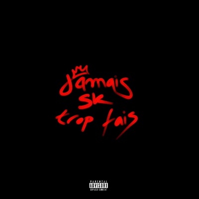 jamais trop fais (feat. SK) - Single