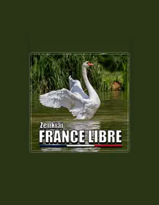 Zenkiai सुनें, म्यूज़िक वीडियो देखें, बायो पढ़ें, दौरे की तारीखें और बहुत कुछ देखें!