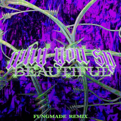 Why You So Beautful (FUNGMADE REMIX) - Single