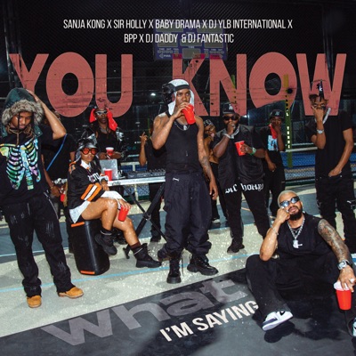 You Know What I'm Saying (feat. Baby Drama, Bpp, DJ Daddy, Sir Holly, DJ YLB INTERNATIONAL & Dj Fantastic) - Single
