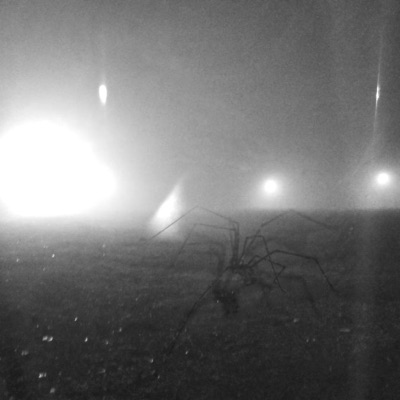 do the digital dance