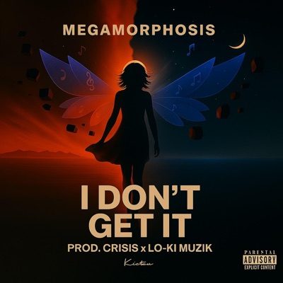 I Don't Get It - Single