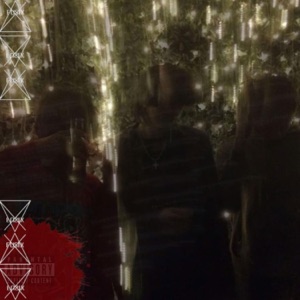 4TheFans cover art