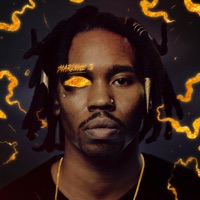 Marlowe 3 - L'Orange, Marlowe & Solemn Brigham