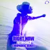 Right Now (Dropriderz Remix)
