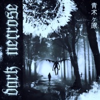 Darknecrose - Single - LilType1