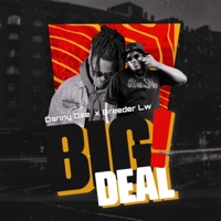 Big Deal (feat. Breeder Lw) - Single - Danny Dee