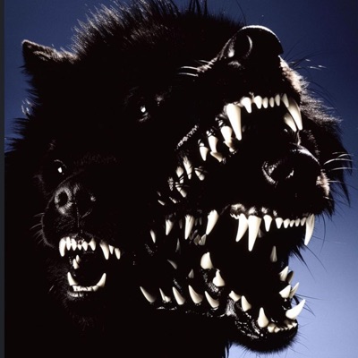 Premonition - Single