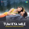 Tum Kya Mile (Stripped-Down Version) - Single