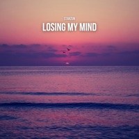 Losing My Mind - Single - Starzun