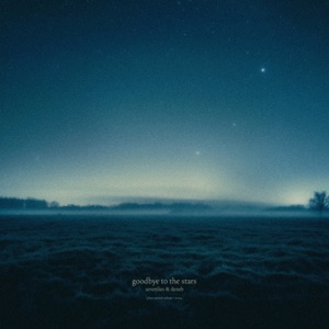 goodbye to the stars - Single