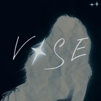 Vise - Single - Crizzando & Grm