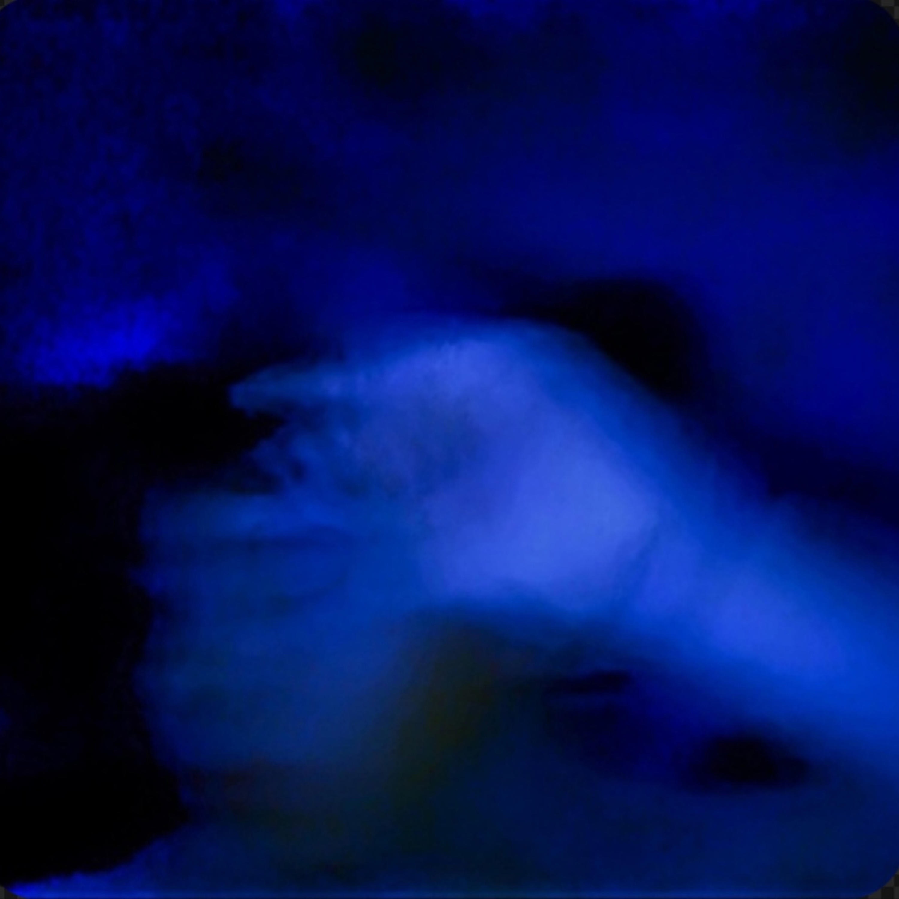 Blue Dreams