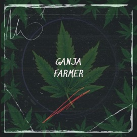 Ganja Farmer (feat. Bullie) Rich T