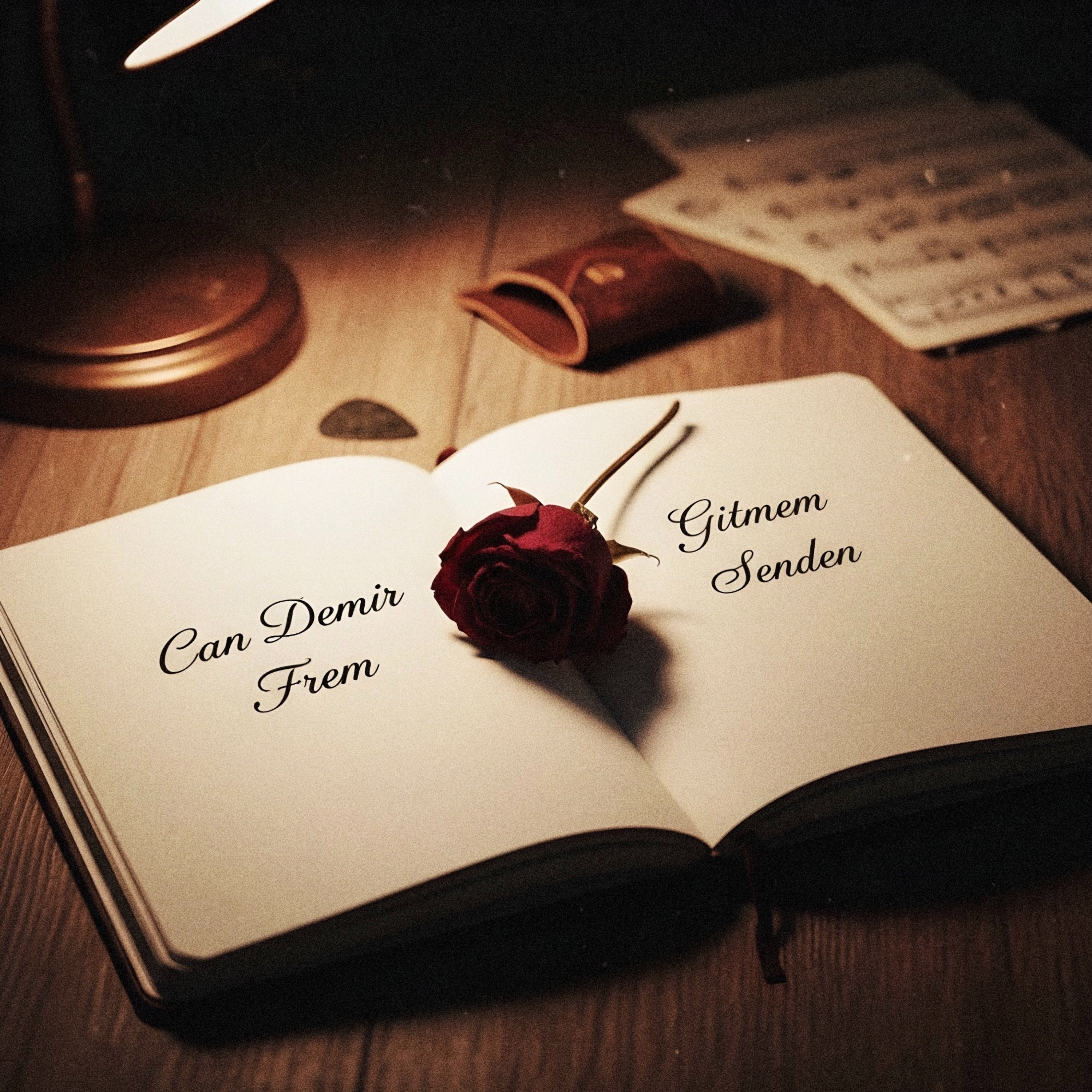 Gitmem Senden - Single