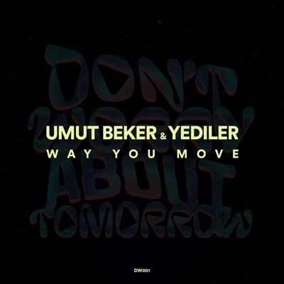 Way You Move - Single