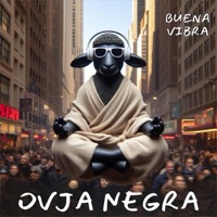 Buena Vibra - Single - OVJA NEGRA