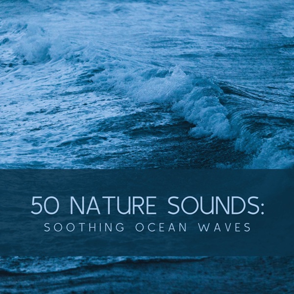 50 Nature Sounds: Soothing Ocean Waves