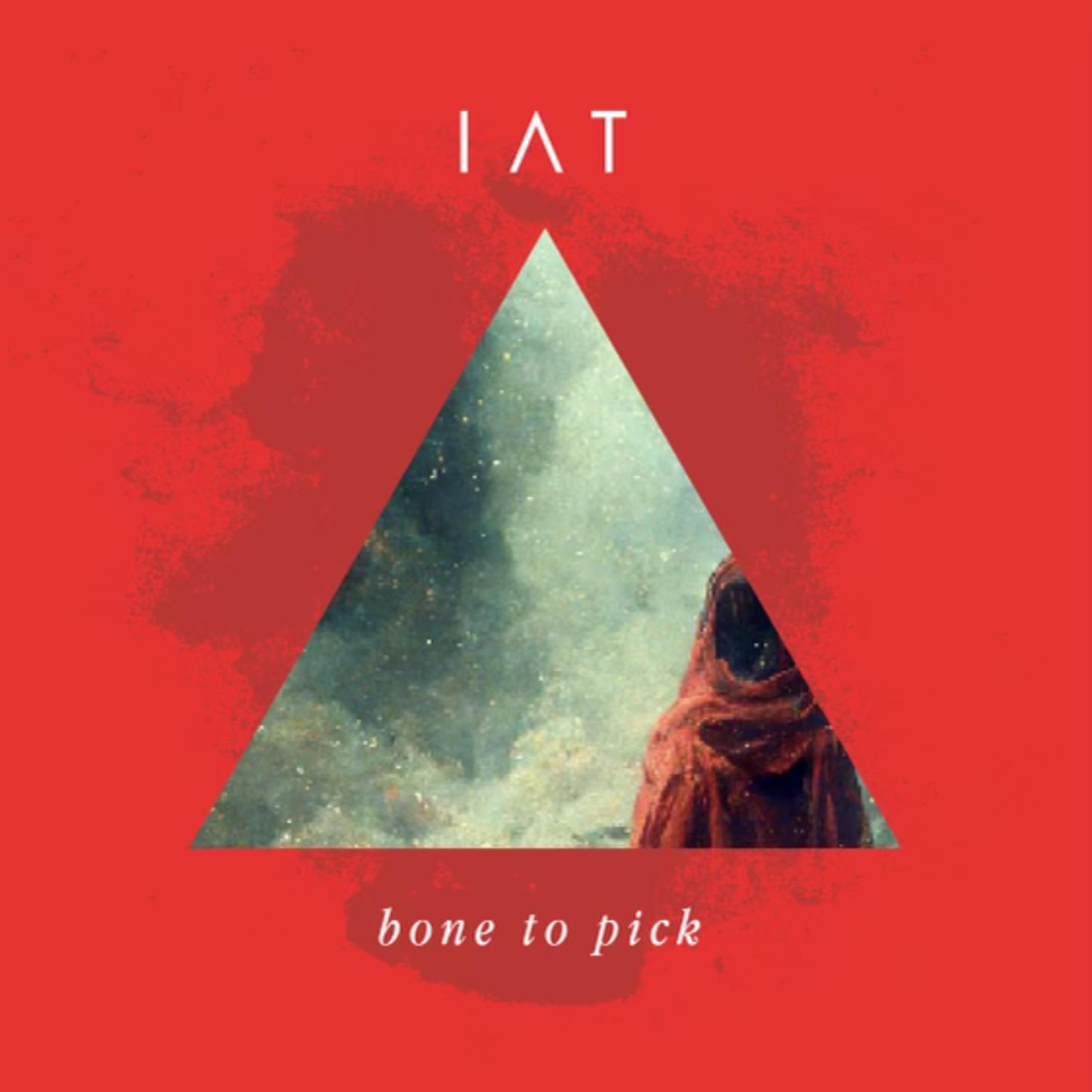 Bone to Pick - Single