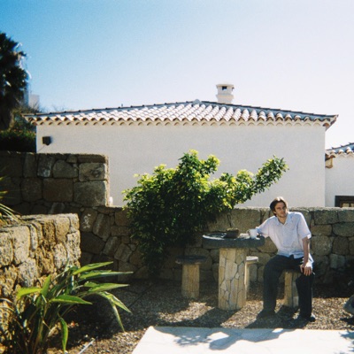 Zonnebloemen - Single