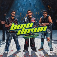 Bow Down (feat. Nazz) - Single - Nawaab