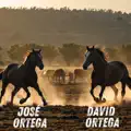 DE PADRE A HIJO