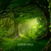 Forest Halo - Dreamer (Sound Bath)