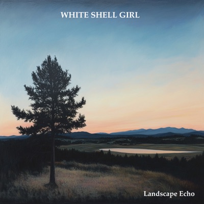 Landscape Echo - Single