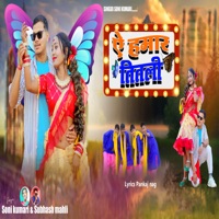 Ae Hamar Titli - Single - Soni Kumari & Subhash Mahli