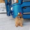 Godt i bø gata