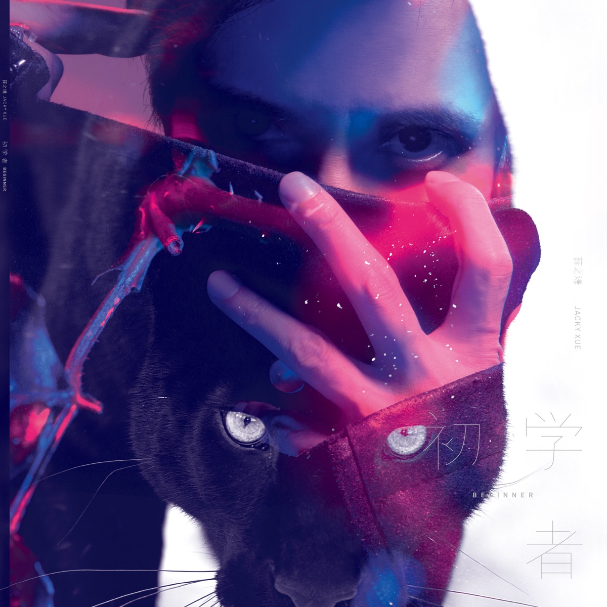 薛之谦 - 初学者 (2016) [iTunes Plus AAC M4A]-新房子