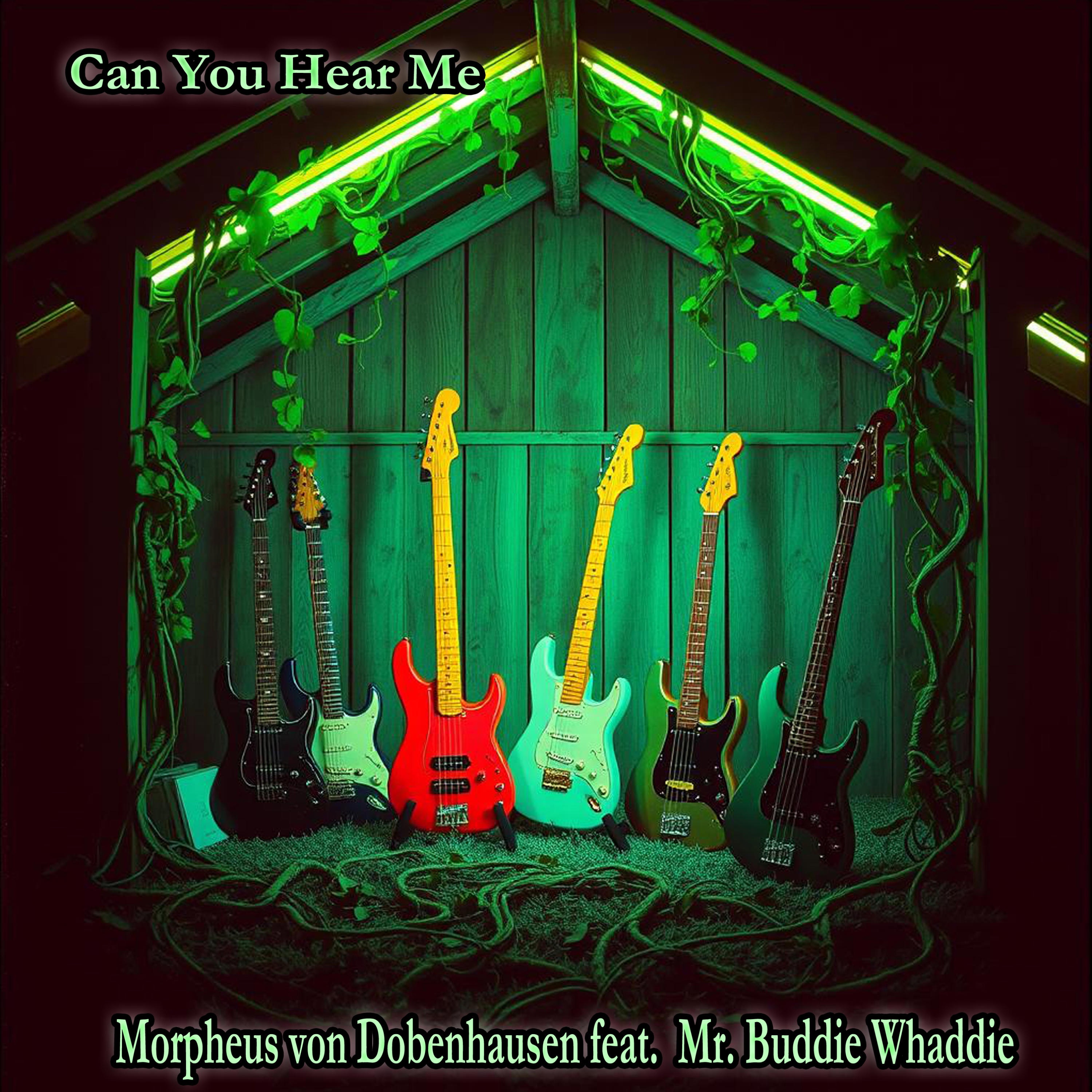 Can You Hear Me - Single