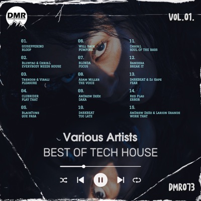 BEST of TECH HOUSE, Vol. 1.