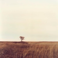 blind - Single - Lucid Keys