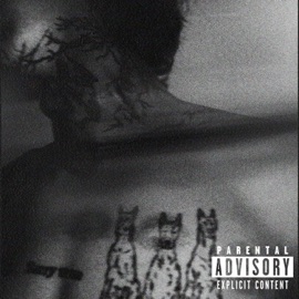 כלב רזה YungDeep