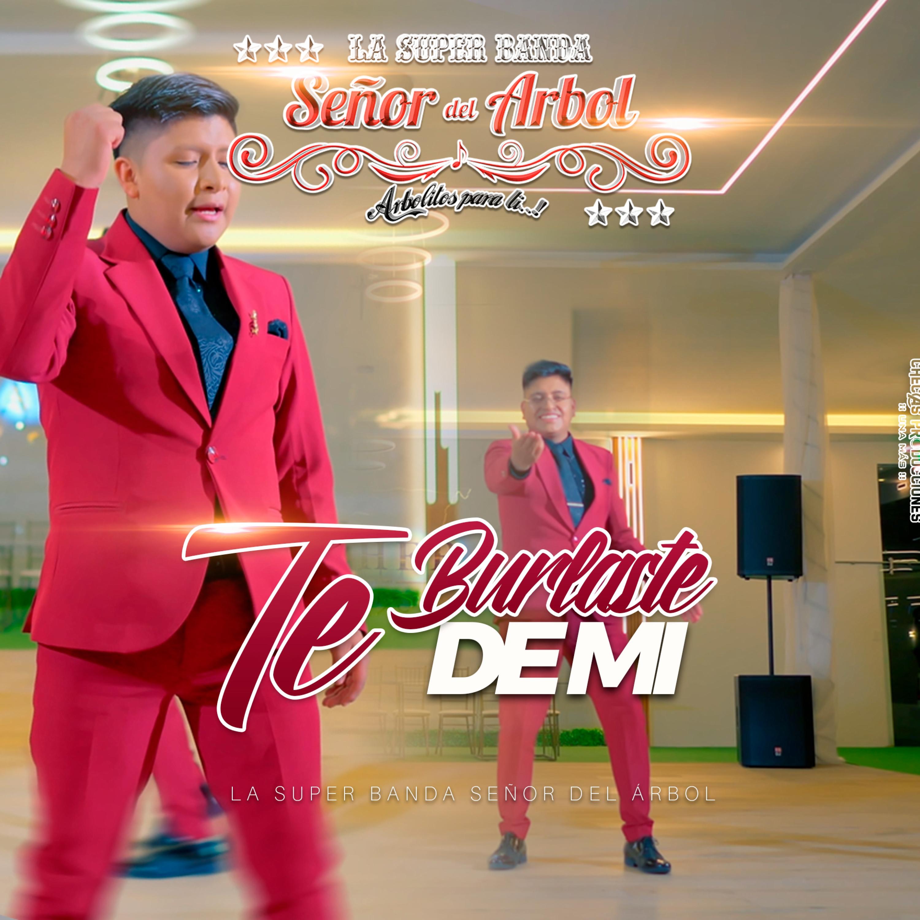 TE BURLASTE DE MI - Single