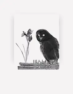 Ouve UFOMA, vê vídeos de música, lê a biografia, vê as datas da digressão e muito mais!